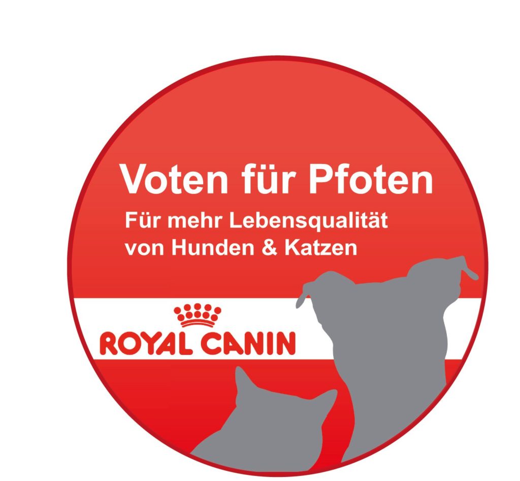 Voten für Pfoten