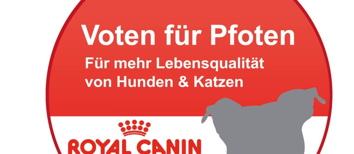 Voten für Pfoten