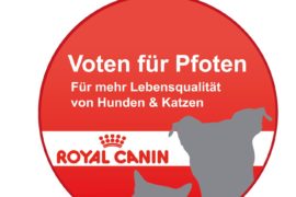 Warum nur in die Ferne schweifen?