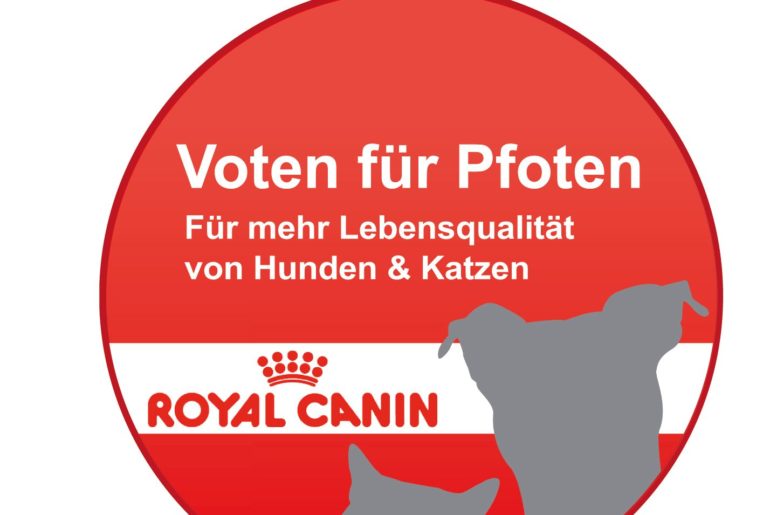 Voten für Pfoten