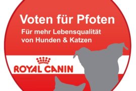 Da geht noch was