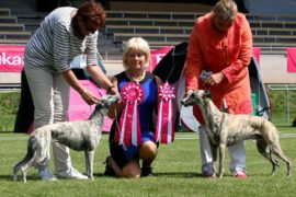 Donaueschingen 2012 – Ein Stenogramm