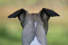 Zur Abwechselung …