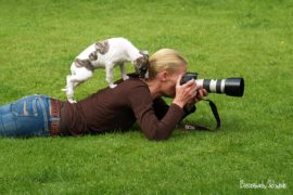Fotos des Jahres 2012 – Nr.7