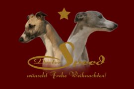 Frohe Weihnachten!