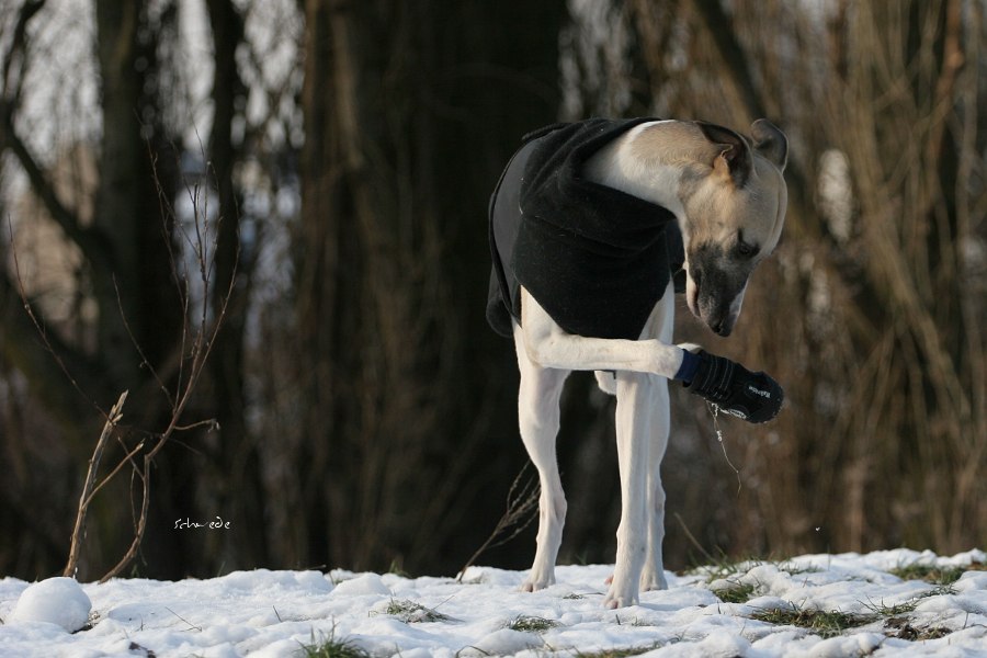 Der Schuh nervt