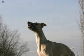 Ufo über dem Ruhrgebiet gesichtet!