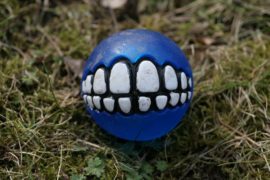 Projekt „Blendax Blue“