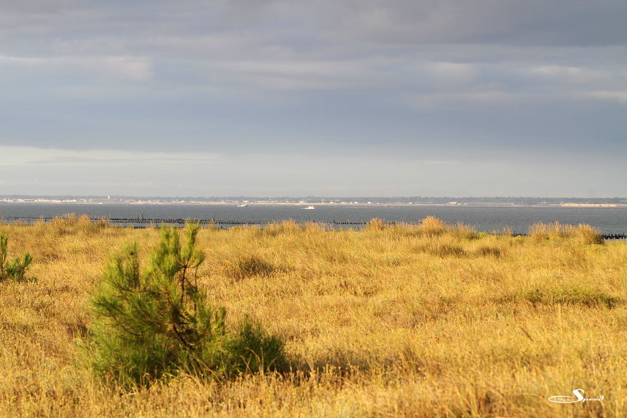 Blick auf die Ils de Ré