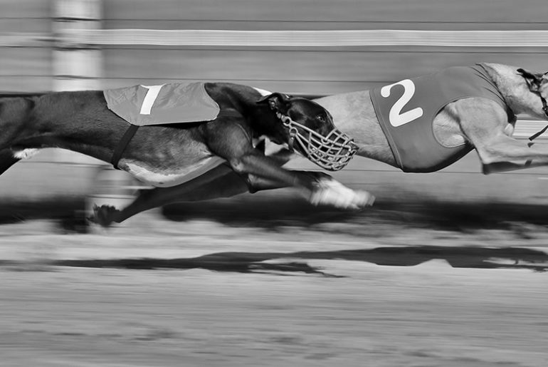 In den Top 50 des Sony World Photography Awards 2015, Kategorie: Split Second