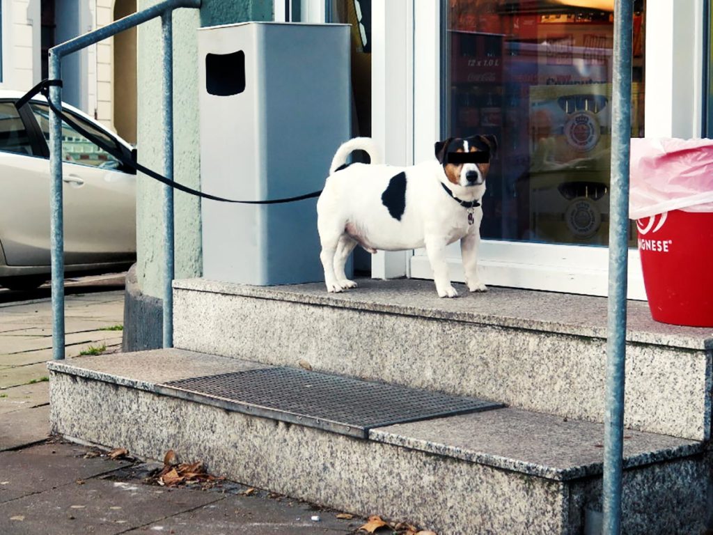 Charly ist tot! Es lebe Charly!