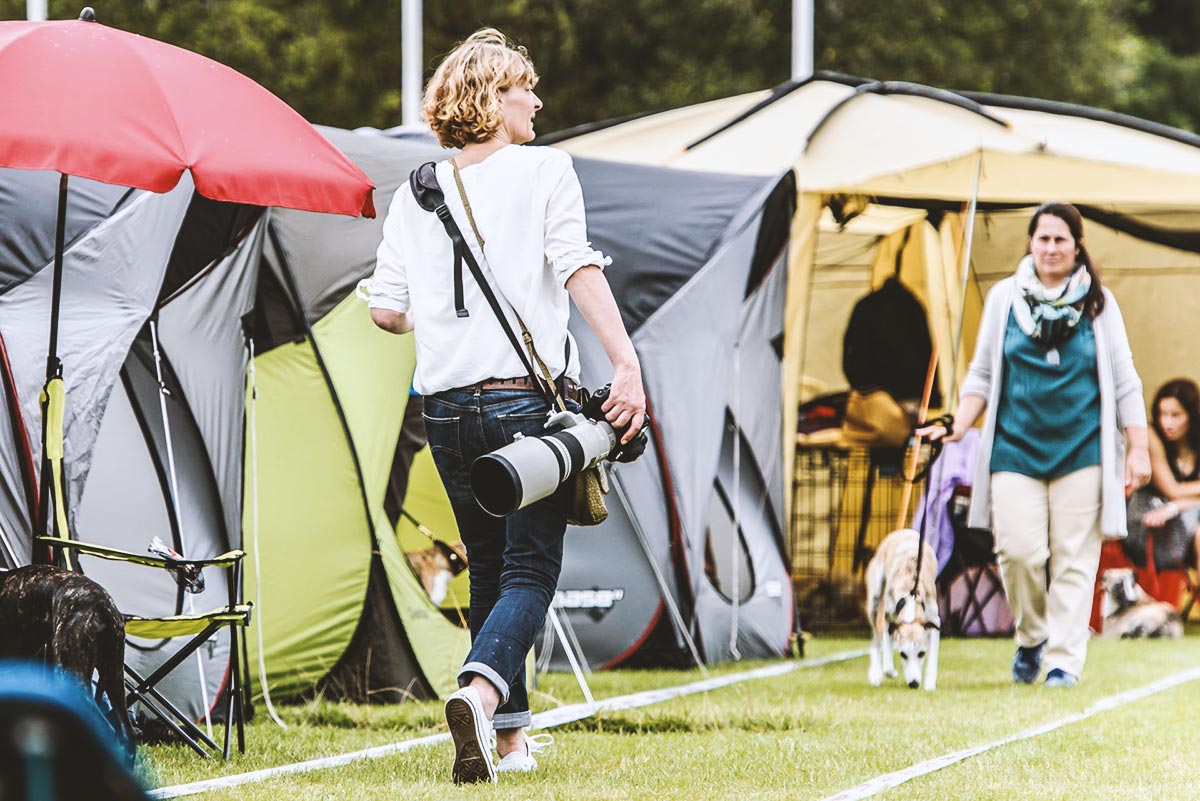 So werde ich wohl auch beim Sighthound Festival Donaueschingen 2018 unterwegs sein. Ich freue mich schon sehr!