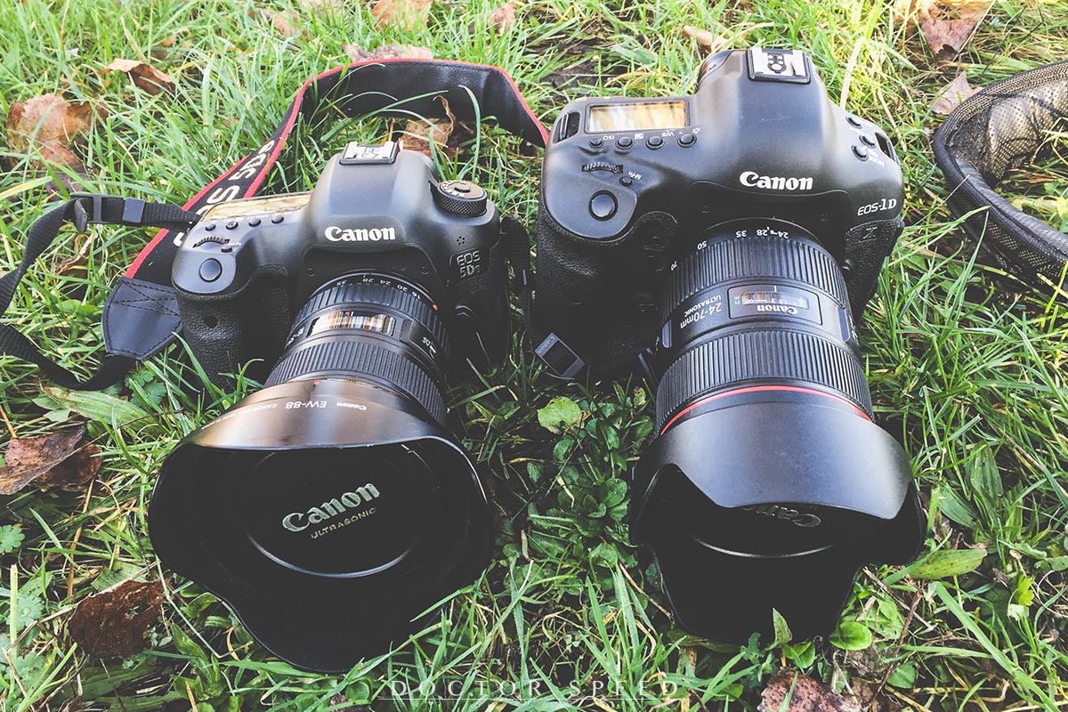 Zwei Boliden des EOS-Systems: Die Canon EOS 1D X und die Canon EOS 5Ds