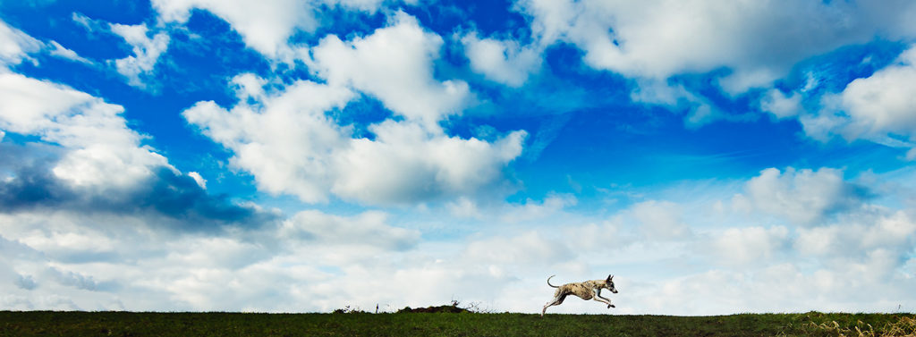 Danny auf der Halde - mit der Canon EOS 5Ds und dem Canon EF 14mm 1:2,8L II USM