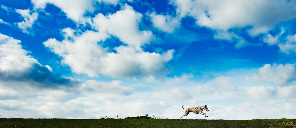 Danny auf der Halde - mit der Canon EOS 5Ds und dem Canon EF 14mm 1:2,8L II USM