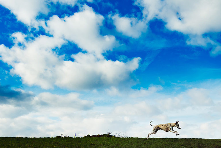 Danny auf der Halde - mit der Canon EOS 5Ds und dem Canon EF 14mm 1:2,8L II USM