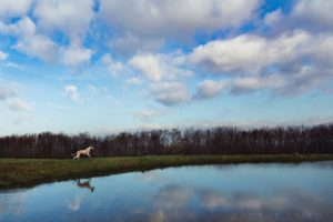 Canon EOS 5Ds, Test