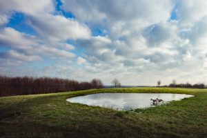 Canon EOS 5Ds, Test