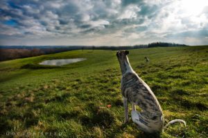 Canon EOS 5Ds, Test