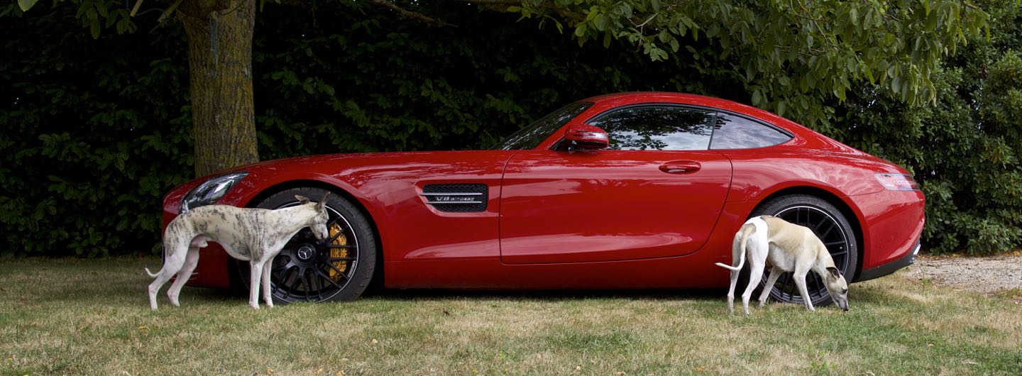 Danny und Mono vor dem Mercedes AMG GT