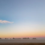 Morgennebel