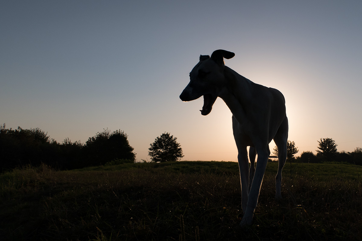 Early in the morning - Erste Fotos aus der Canon PowerShot G7 X Mark II