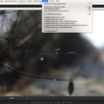 Die Dual Pixel RAWs sind das beste neue Feature der Canon EOS 5D Mark IV