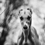 Ein Jahr in Bildern - meine Lieblingsfotos 2016