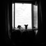 Ein Jahr in Bildern - meine Lieblingsfotos 2016