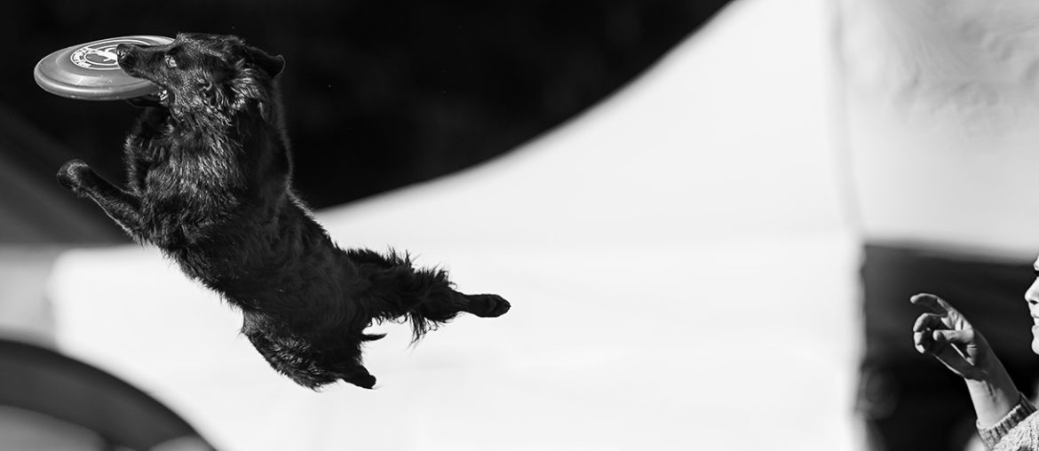 Ein Jahr in Bildern - meine Lieblingsfotos 2016