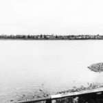 Blick auf das andere Rheinufer in Bonn