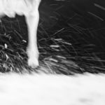 Snowflakes