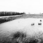 vereister Teich