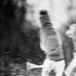 Snowflakes
