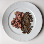 Im Belcando Langzeittest - Lamm Single Protein