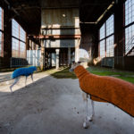 der orange Pullover