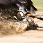 Fast malerisch