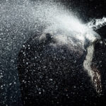 Marengo unter der Dusche