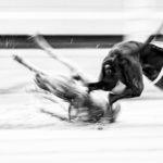 Whippets am Hasen