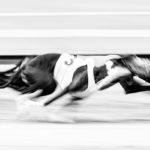 EM-Revanche 2017 in Gelsenkirchen