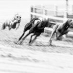 EM-Revanche 2017 in Gelsenkirchen