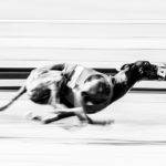 Whippet auf der Bahn