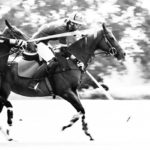 Das Clubturnier beim Rhein Polo Club Düsseldorf