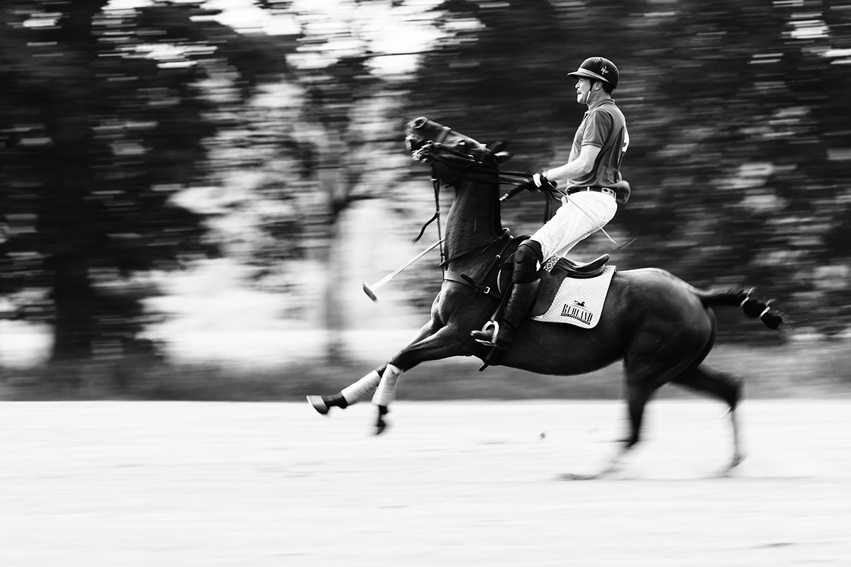 Jack Kid beim Clubturnier des Rhein Polo Club Düsseldorf e.V.