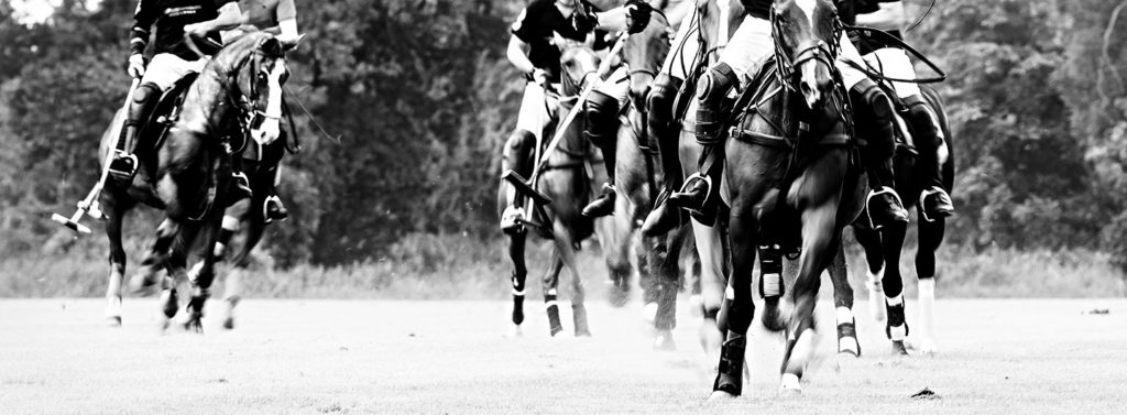 Clubturnier beim Rhein Polo Club Düsseldorf e.V.