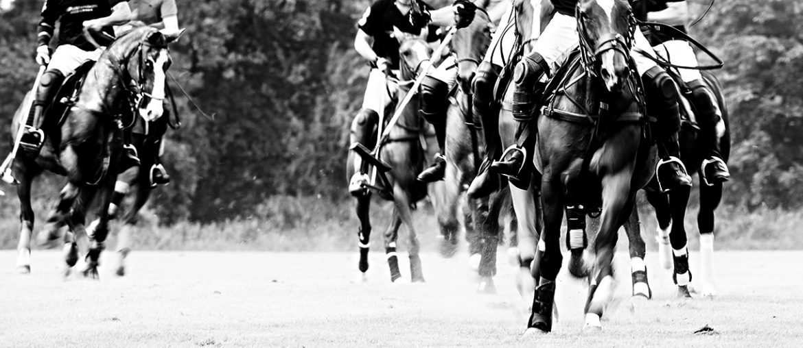 Clubturnier beim Rhein Polo Club Düsseldorf e.V.