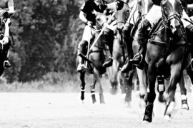 Hart, schnell, dreckig – ein Polo-Wochenende