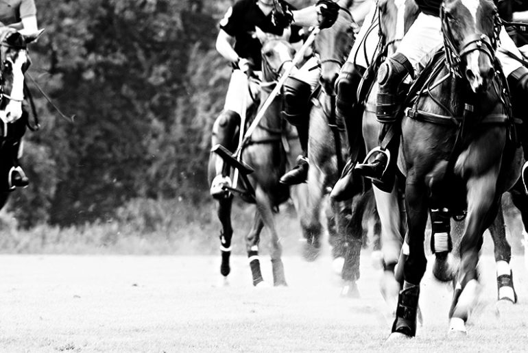 Clubturnier beim Rhein Polo Club Düsseldorf e.V.