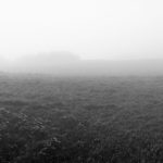 Panoramashot aus meinem iPhone 6s