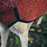 Sitzt, passt, wackelt und hat Luft. Die Pullis von SOFA DOG WEAR sind einfach spitze.